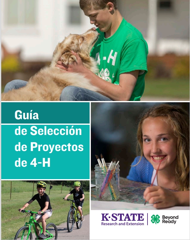 Spanish Project Guide Cover
